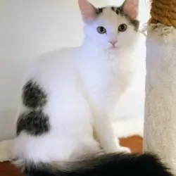 Photo of Moo