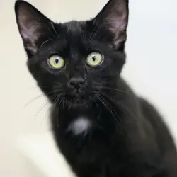 Photo of Nora