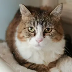 Photo of Norlene
