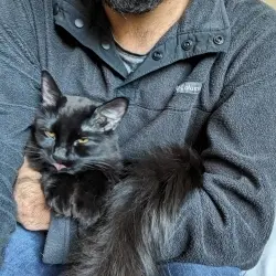 Photo of Taz
