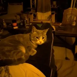 Photo of Smidge 