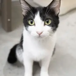Photo of Patience