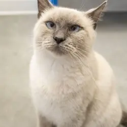 Photo of Penelope