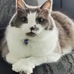 Photo of Timothy