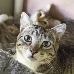 Photo of QT