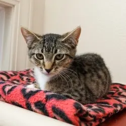 Photo of Quinn