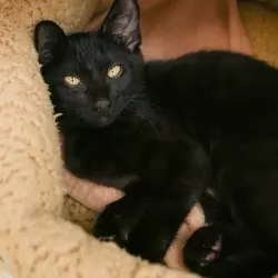 Photo of Rubi