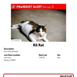 Photo of Kit Kat