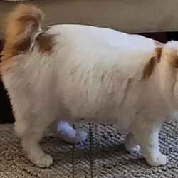 Photo of Azumie
