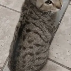 Photo of Ben (Baby Ben)