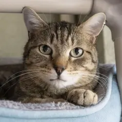 Photo of Slinky