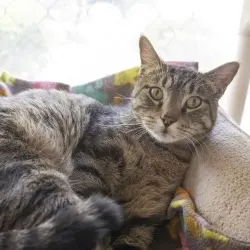 Photo of Spooky
