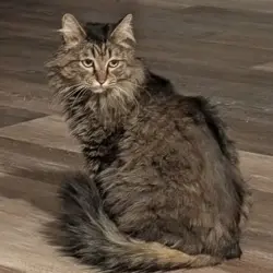 Photo of Stormi