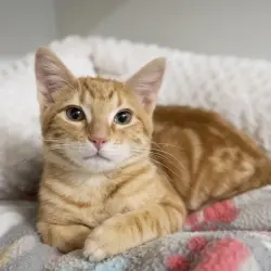 Photo of Sunnie