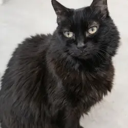 Photo of Sunnie