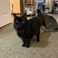 Photo of Sunny