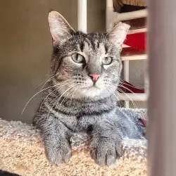 Photo of Timmy