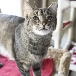 Photo of Timmy