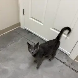 Photo of Twirly