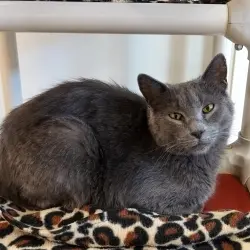 Photo of Twirly