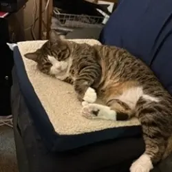 Photo of Twix