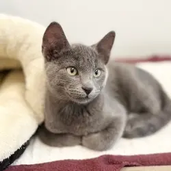 Photo of Vinni