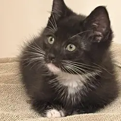 Photo of Jack