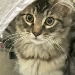 Photo of Thumper