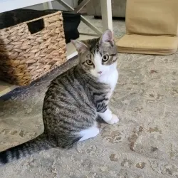 Photo of Timmy