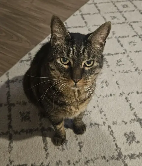 Photo of Ajax