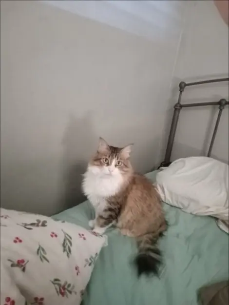 Photo of Mimi
