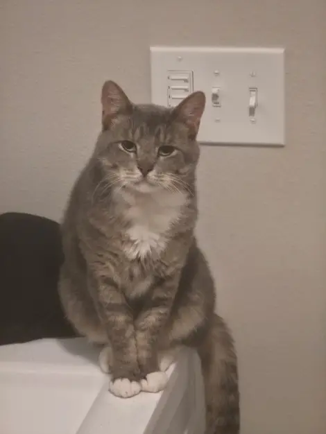 Photo of Leonard