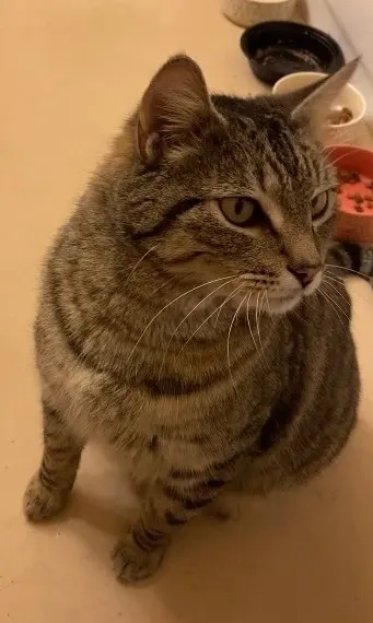 Photo of Benny Buttercup