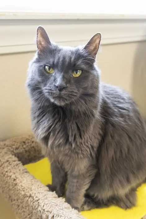 Photo of Charlotte