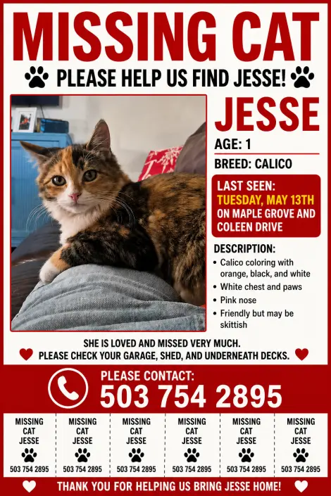 Photo of Jesse