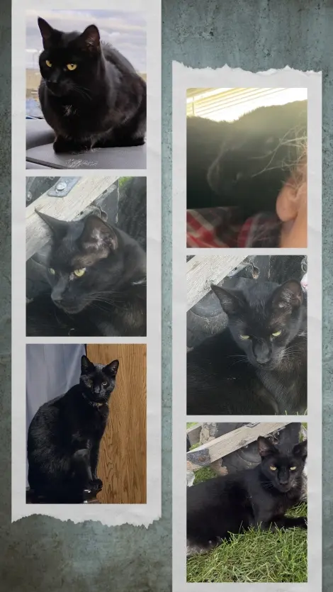 Photo of Spaz 
