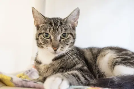 Photo of Ethel