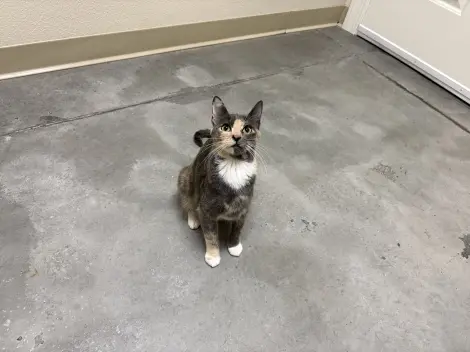 Photo of Ferrah
