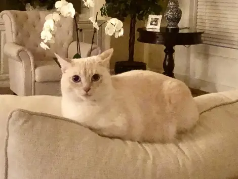 Photo of Fred