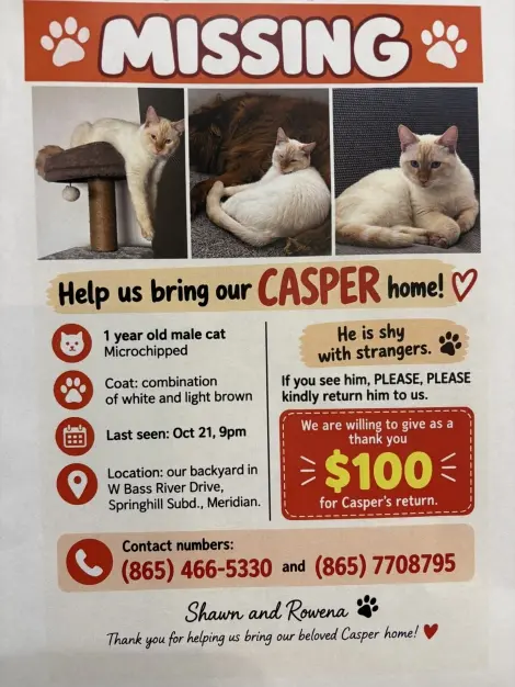 Photo of Casper