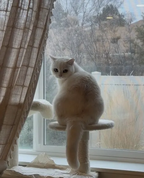Photo of Winnifred