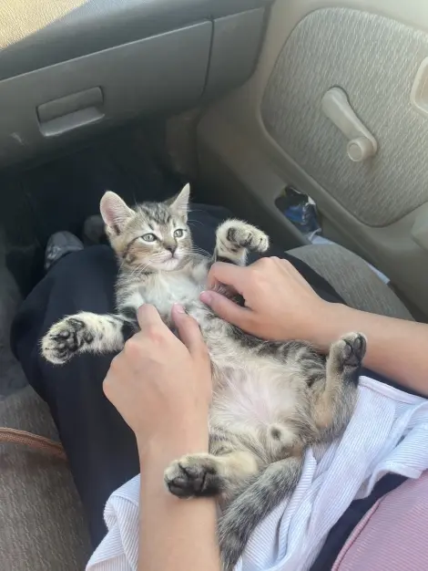 Photo of Pablo