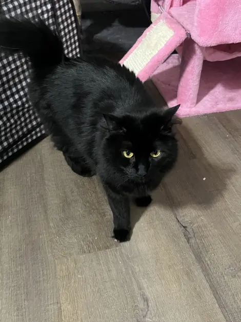 Photo of Asher