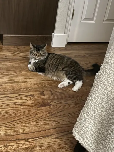 Photo of Timmy
