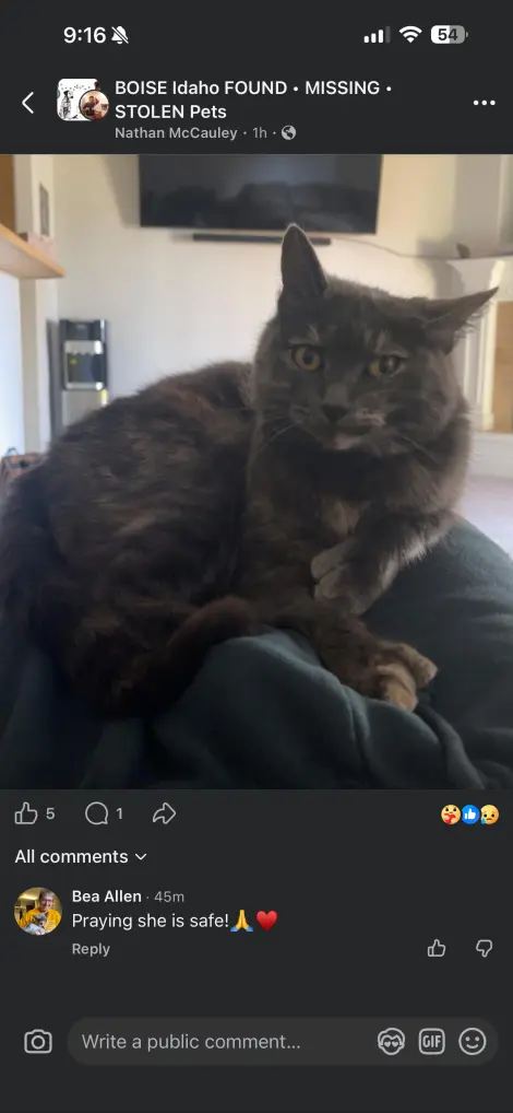 Photo of Sabrina
