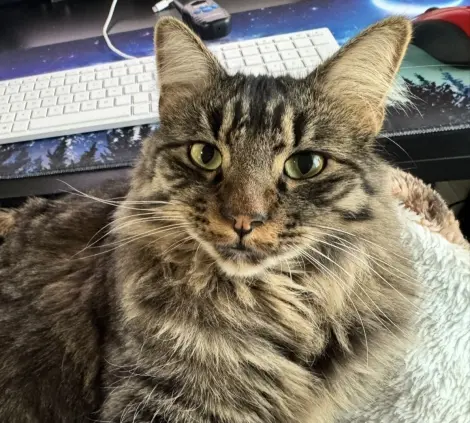 Photo of Rex