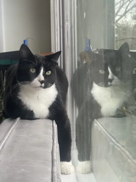 Photo of Schrödinger 