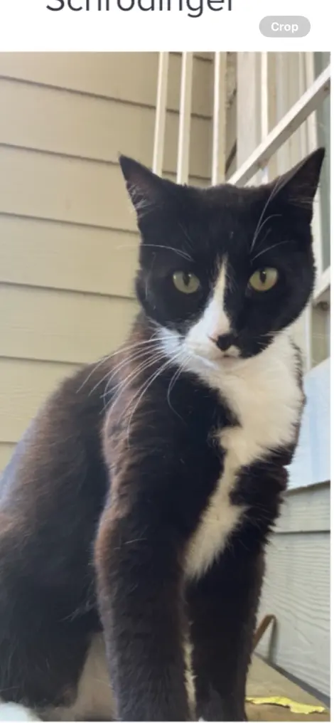 Photo of Schrödinger 