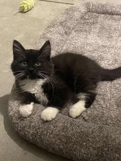 Photo of Viktor
