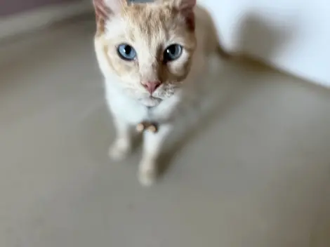 Photo of Zeus